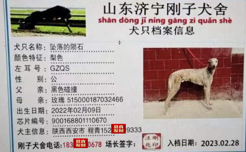 坠落的陨石 900168801110670，GZQS